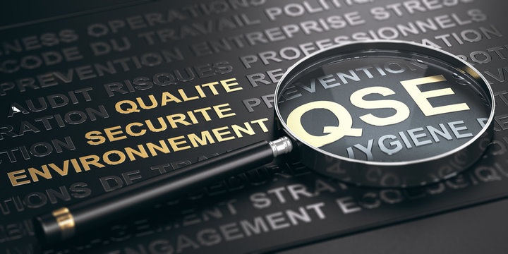 Formation en Qualité, Sécurité et Environnement (QSE)