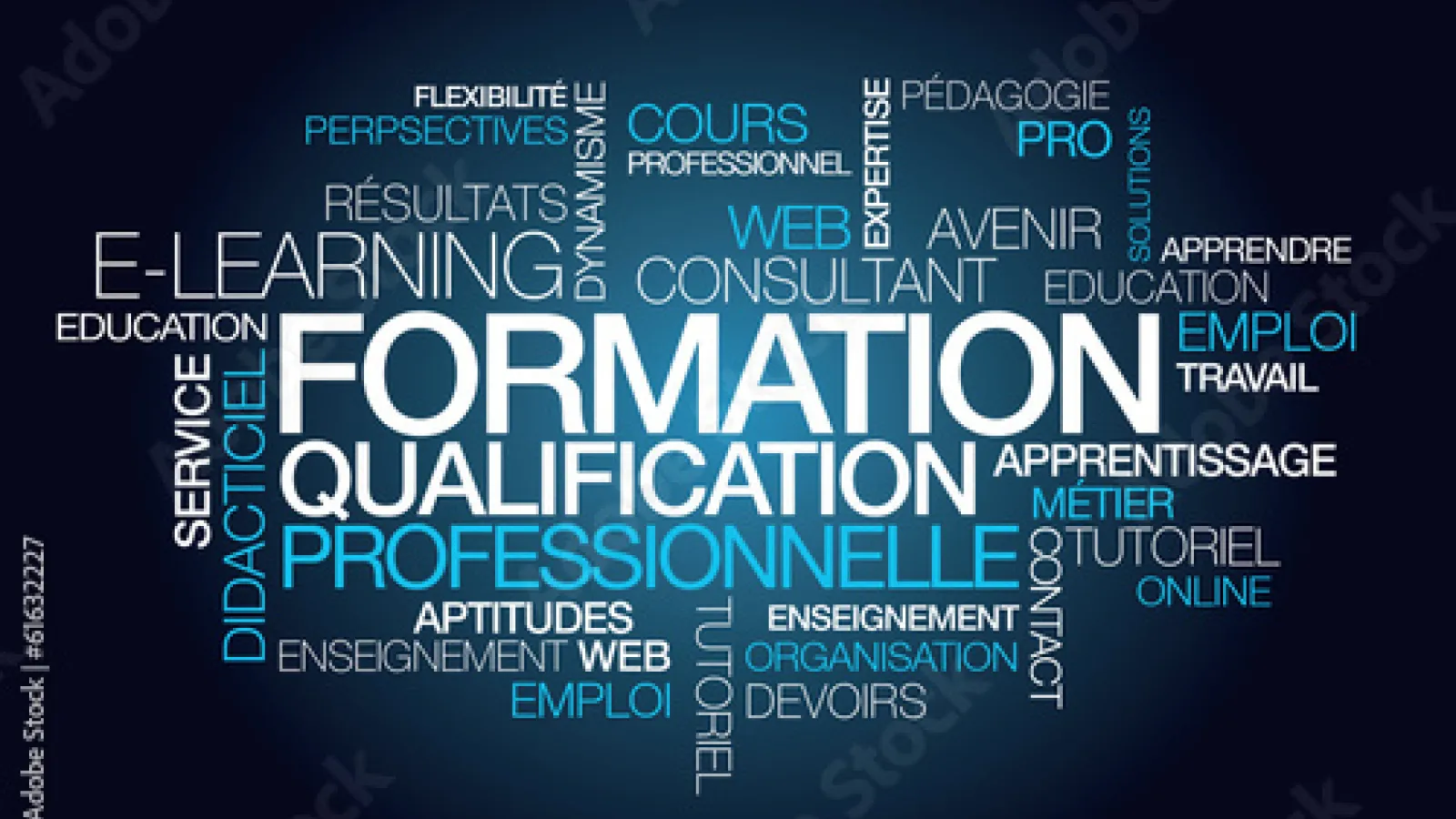 La formation professionnelle en Algérie : fonctionnement, acteurs et enjeux clés
